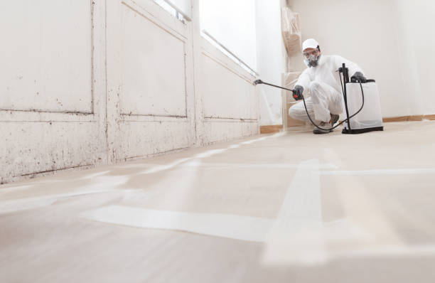 24/7 Emergency Attic Mold Removal experts in Nokesville, VA